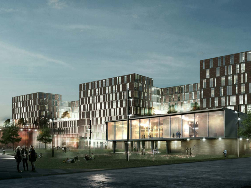 Frankfurt School of Finance & Management Lupp Startseite