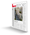Lupp Report 2020